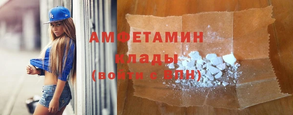 индика Абаза