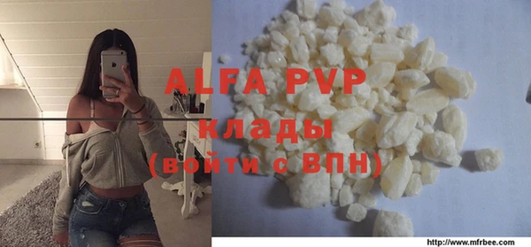 индика Абаза