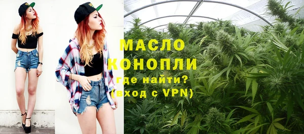 индика Абаза