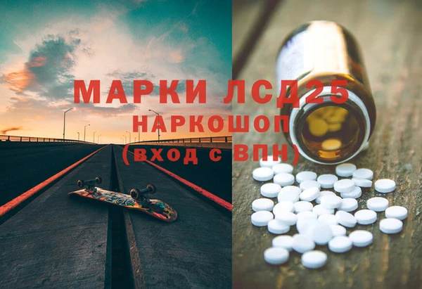 индика Абаза
