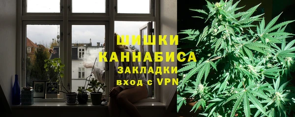 индика Абаза