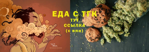 индика Абаза