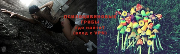 индика Абаза