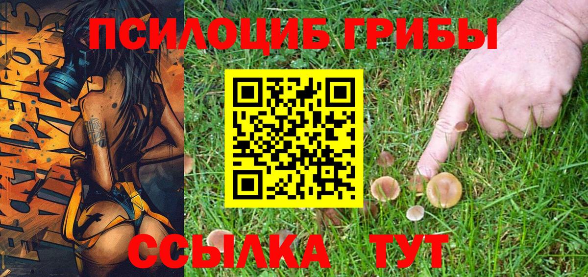 Галлюциногенные грибы ЛСД Богданович