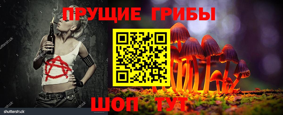 Псилоцибиновые грибы прущие грибы  Вход с VPN  Богданович 
